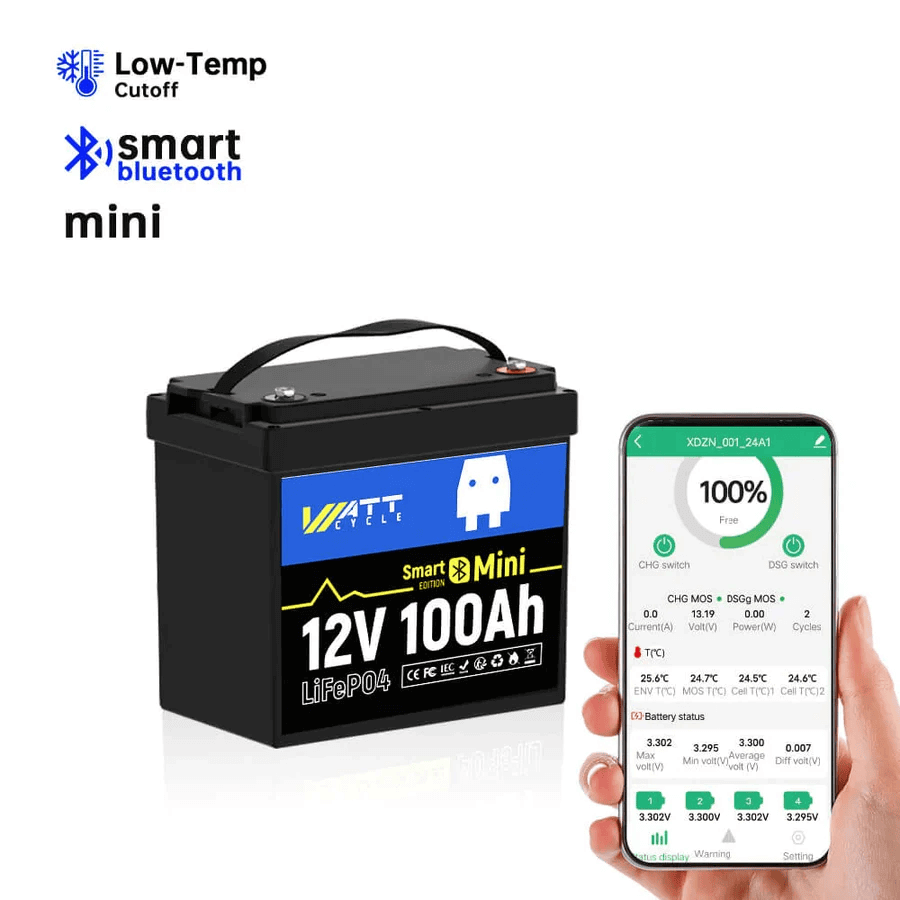 12V 100Ah Mini LiFePO4 Battery with Bluetooth