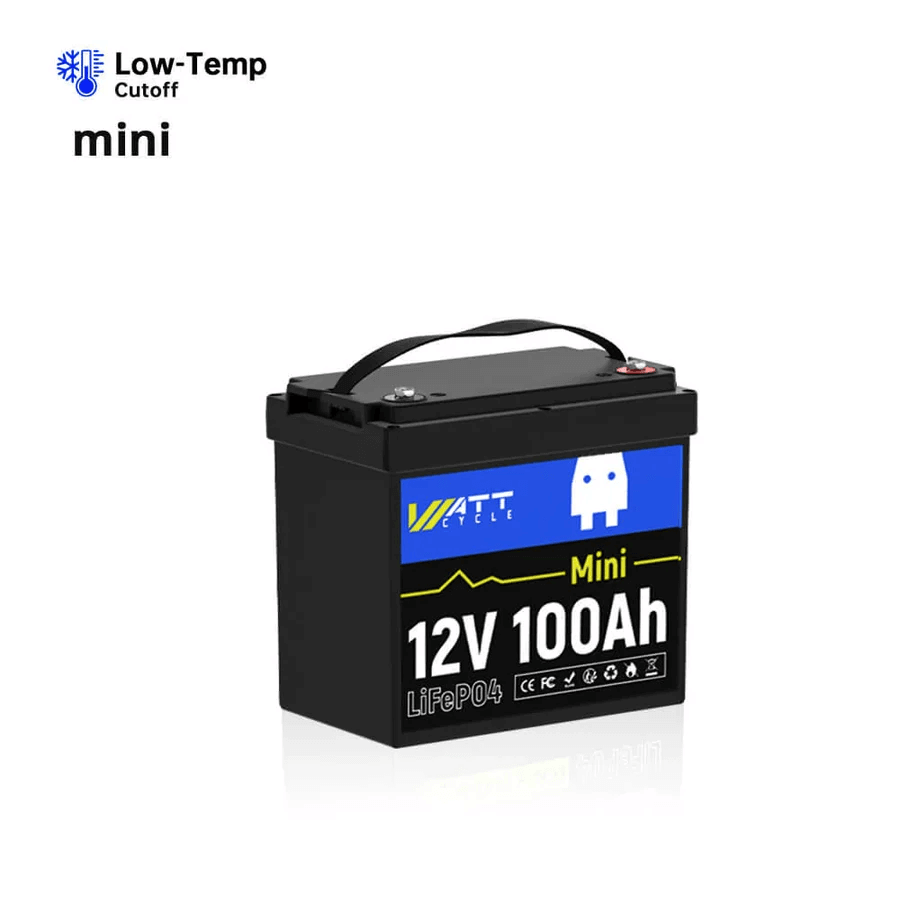 12V 100Ah Mini LiFePO4 Battery