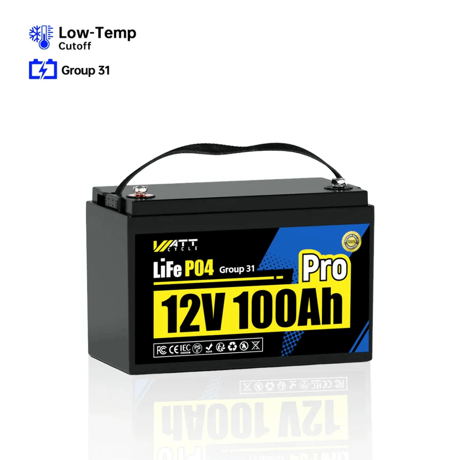 12V 100Ah Pro Group 31 LiFePO4 Battery